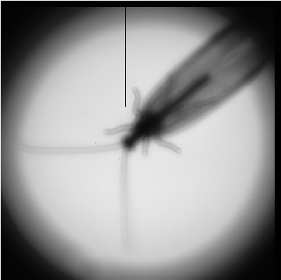 friend2.png (225.3 KB) Vaadatud 2506 korda friend2.png