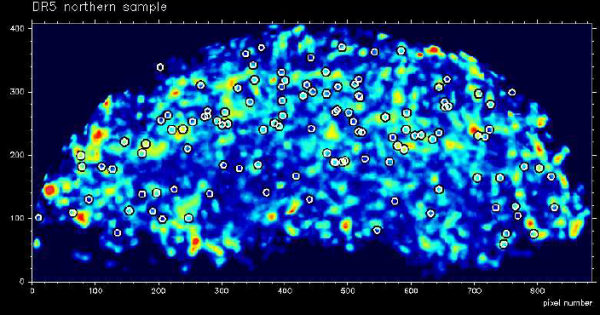  Kvasarite asukohad globaalses tihedusväljas