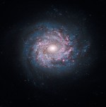 Lapiti paisev spiraalgalaktika NGC 3982