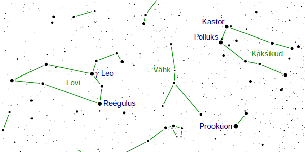 Lõvi ja Kaksikud