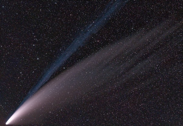 Komeet C/2020 F3 (NEOWISE) pildistatud 14. juulil Saksamaalt. Fotol on selgesti eristatavad komeedi kaks saba - sinakas gaasi-ehk ioonsaba mis osutab Päikesest alati otse eemale ning valge tolmusaba, mis järgib mingil määral selle orbiiti. Nende sabade pikkust võib mõõta sadades miljonites kilomeetrites. Autor: SimgDe/Wikimedia Commons