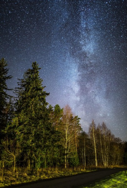 Linnutee käesoleva aasta novembris Järvamaal, Järva vallas, Kukevere külas. Foto: Ain Paloson -https://www.facebook.com/pages/category/Artist/Ain-Paloson-Photography-719333744873559/