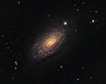 Astronoomiapilt #48: Päevalille galaktika