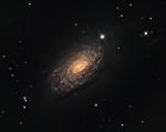 Astronoomiapilt #48: Päevalille galaktika Astronoomiapilt #48: Päevalille galaktika